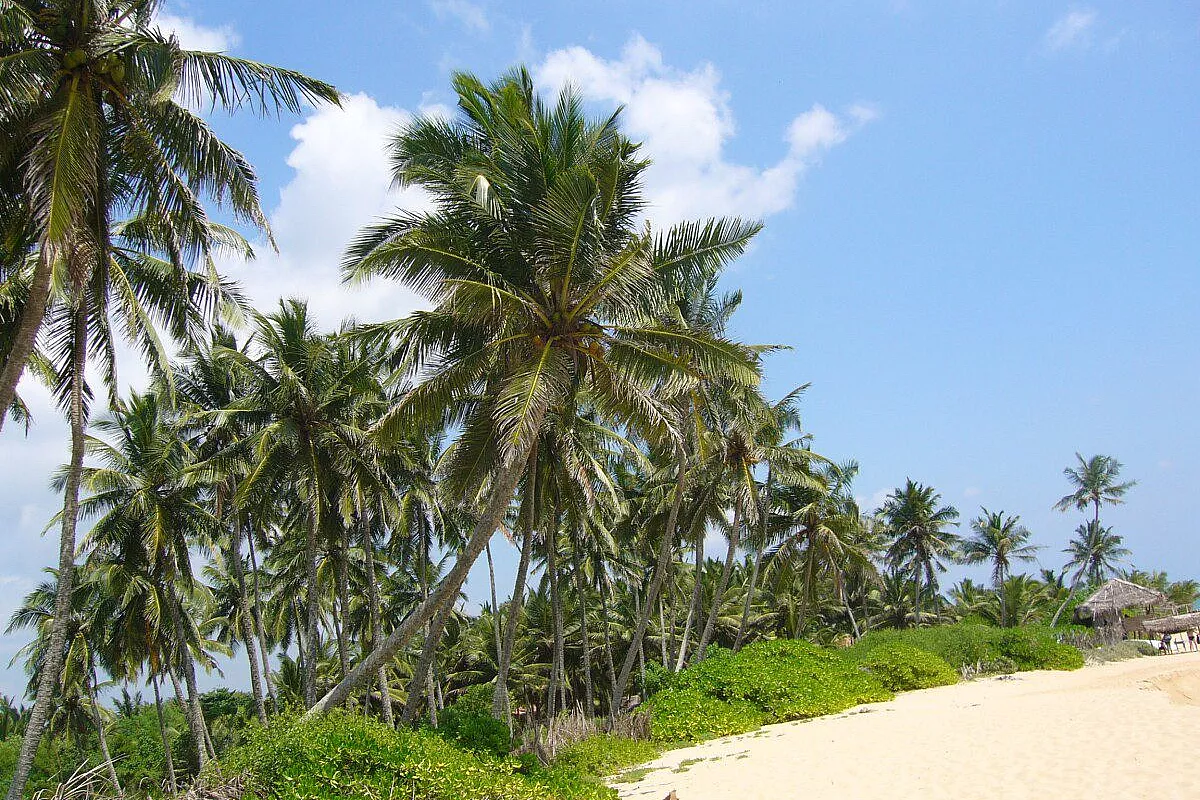 tangalle