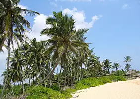 turistipercaso colombo-region-zt76a