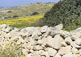 turistipercaso comino-fc4pr