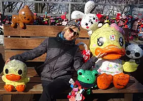 turistipercaso corea-del-sud-c9xne