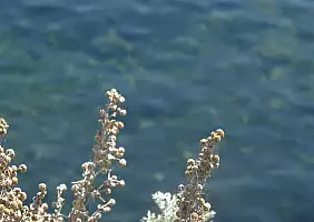 turistipercaso corfu-b4y64