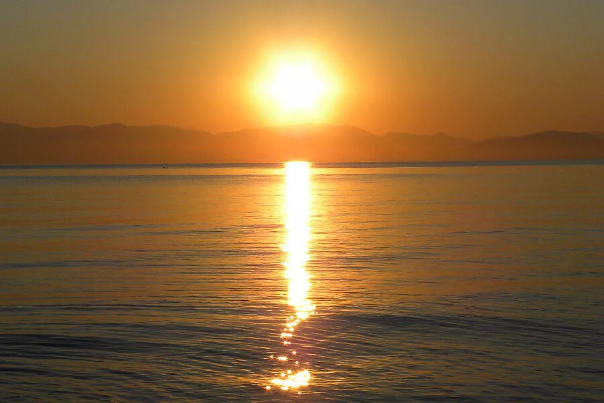 alba