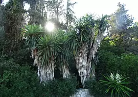 turistipercaso corfu-y9en1