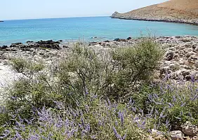 turistipercaso corinto-ausrb