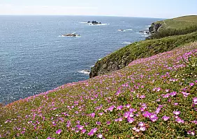 turistipercaso cornovaglia-rh4gt
