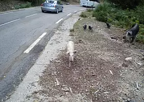 turistipercaso corsica-mare-5x4um