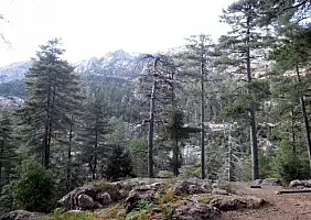 turistipercaso corsica-shqsm