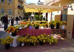 turistipercaso costa-azzurra-yw5wp