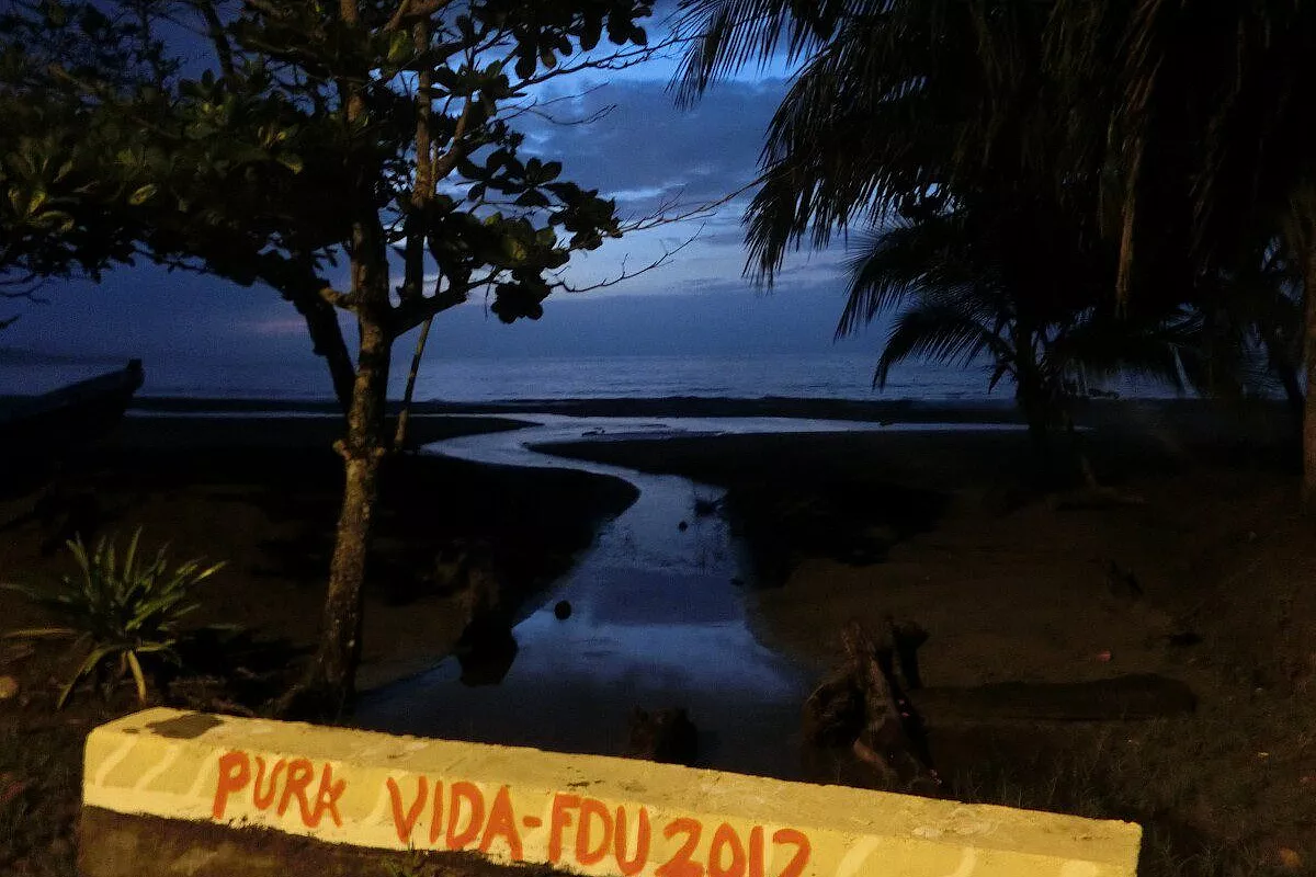PURA VIDA