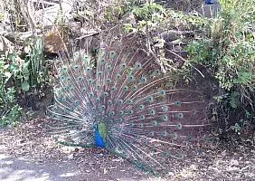 turistipercaso costa-rica-bq9bj
