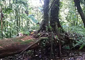 turistipercaso costa-rica-mgpuh