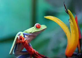 turistipercaso costa-rica-n6uf2