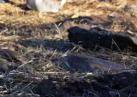 turistipercaso cotopaxi-atqae