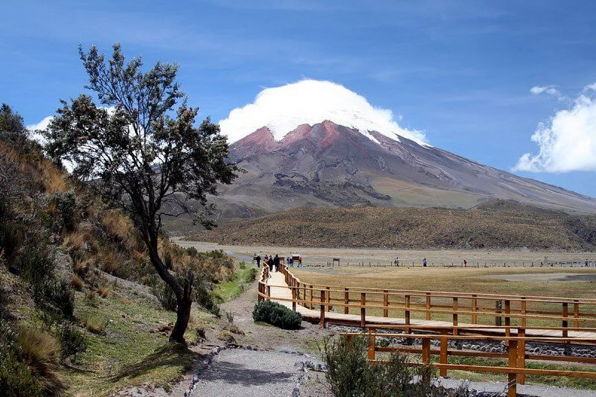 Il cotopaxi visto dalla laguna limpiopungo