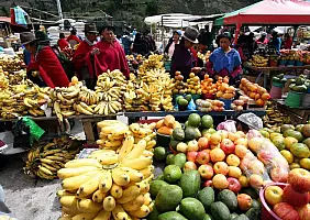 turistipercaso cotopaxi-region-gqgfn