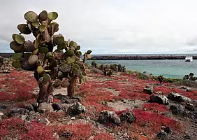 turistipercaso cotopaxi-region-tkb6a