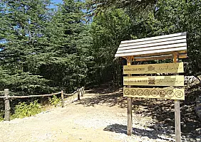 turistipercaso couchsurfing-f32c4