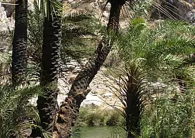 turistipercaso creta-c4w34