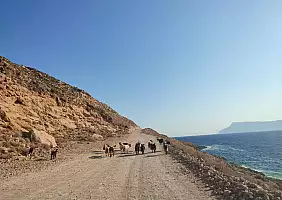 turistipercaso creta-t8u5g