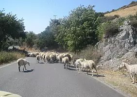 turistipercaso creta-zbbgg