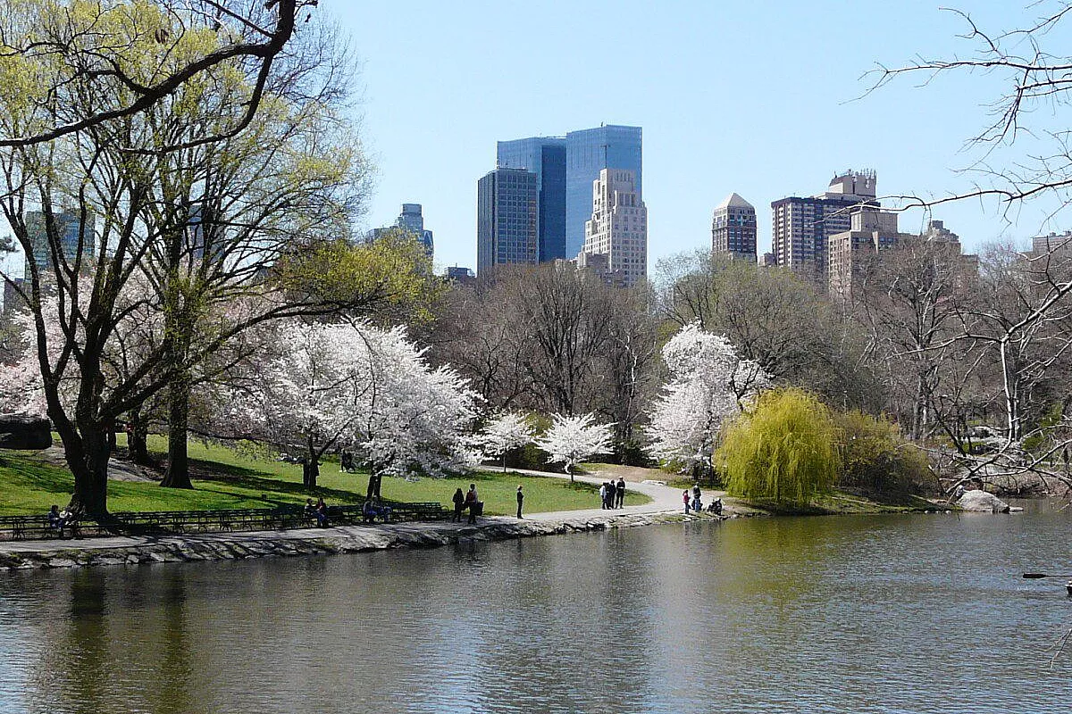 NEW YORK: un’altro mondo