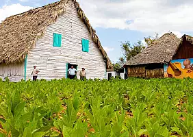 turistipercaso cuba-2-gayv8