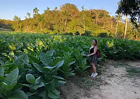 turistipercaso cuba-2m4ks