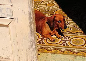 turistipercaso cuba-7djq1