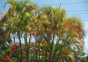 turistipercaso cuba-axbpp