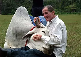 turistipercaso cuba-country-9vmd4