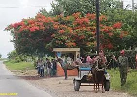turistipercaso cuba-equgs