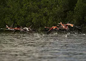 turistipercaso cuba-j41yt