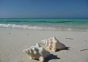 turistipercaso cuba-k9y2y