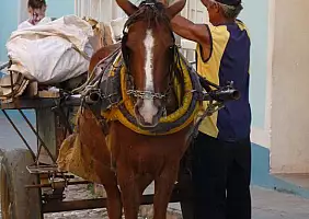 turistipercaso cuba-n2ggn