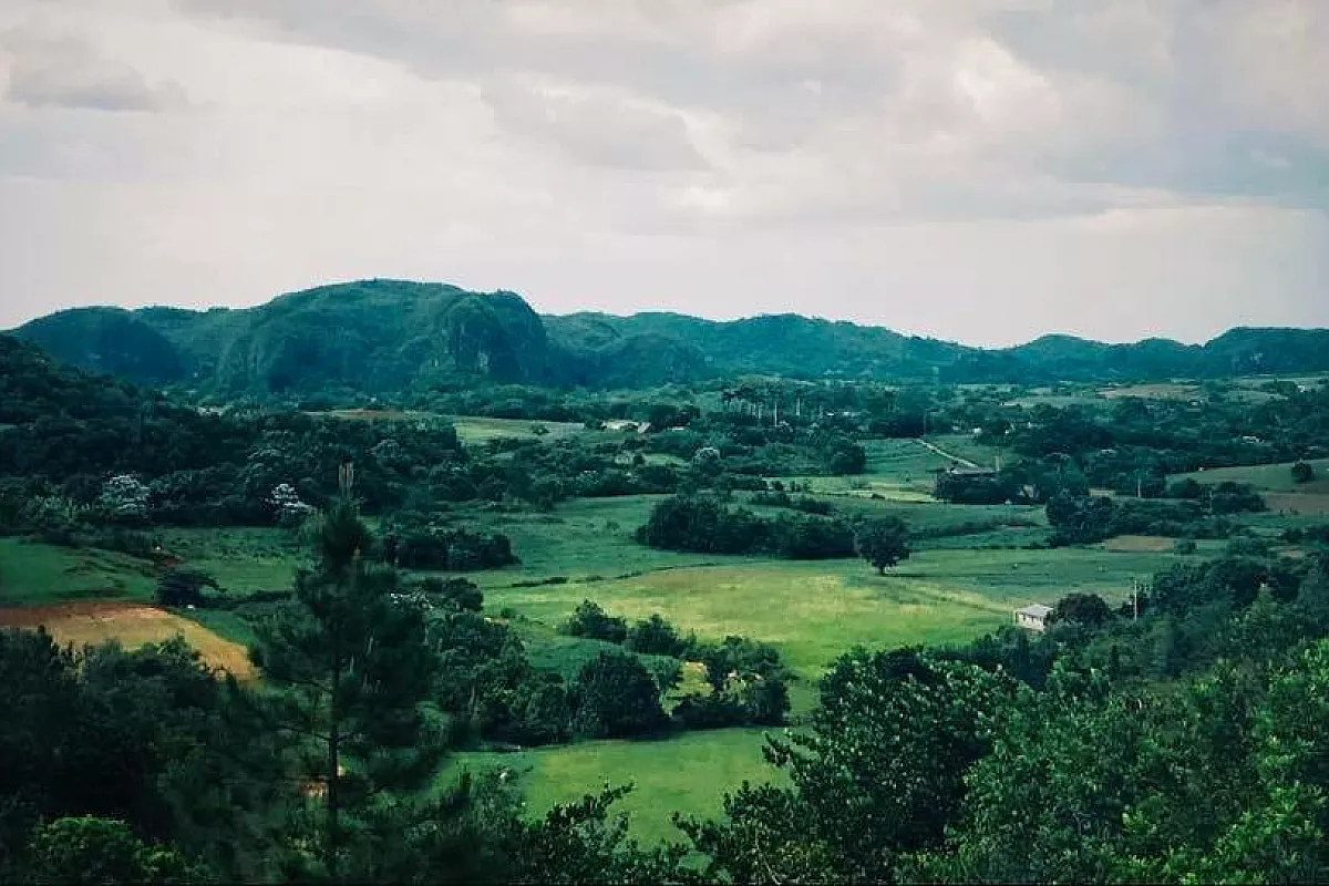 Vinales