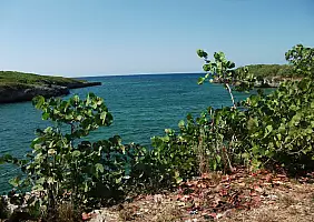 turistipercaso cuba-ssehd