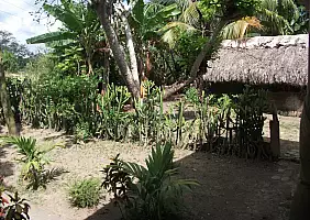 turistipercaso cuba-tsqcs