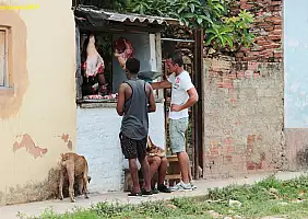 turistipercaso cuba-vj6fg