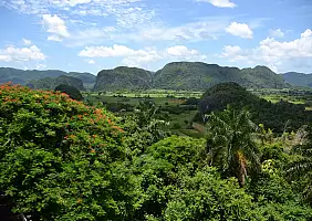 turistipercaso cuba-ydj75