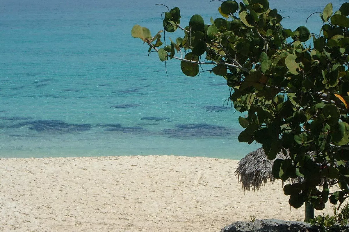 Il più bel regalo di laurea: cuba