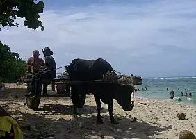turistipercaso cubahavana-9avnt