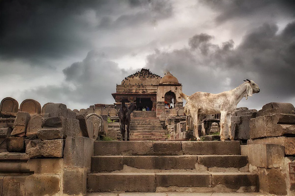 India 2014