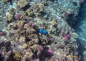 turistipercaso cultura-32k44