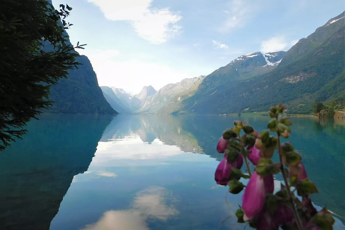 Norvegia
