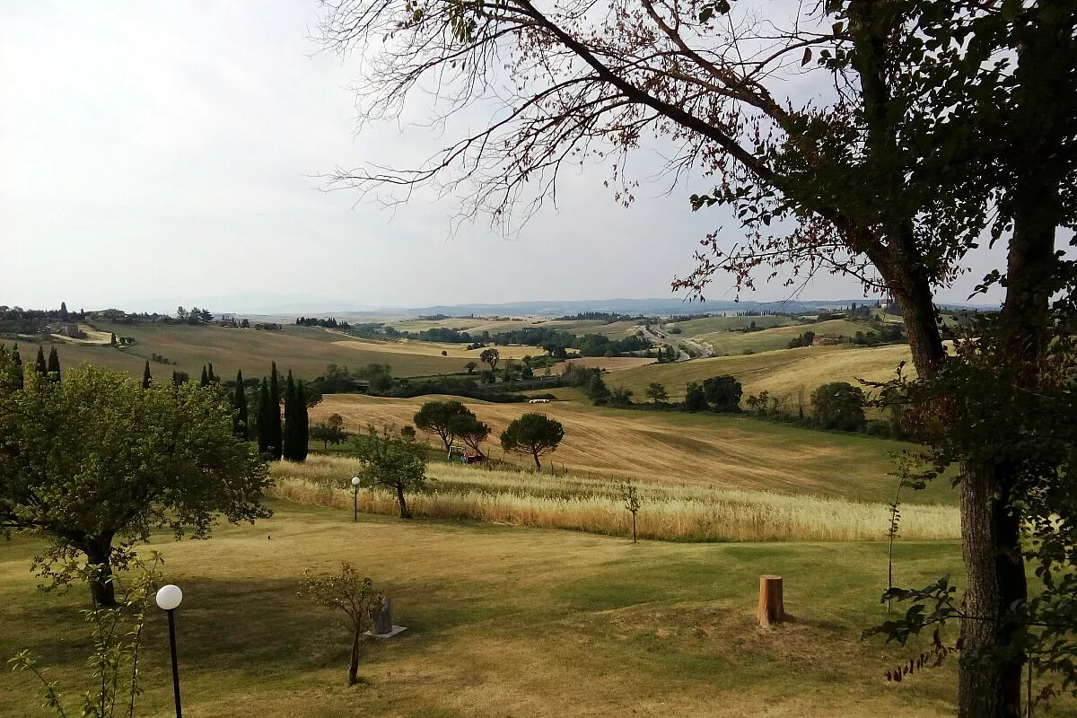 colline senesi