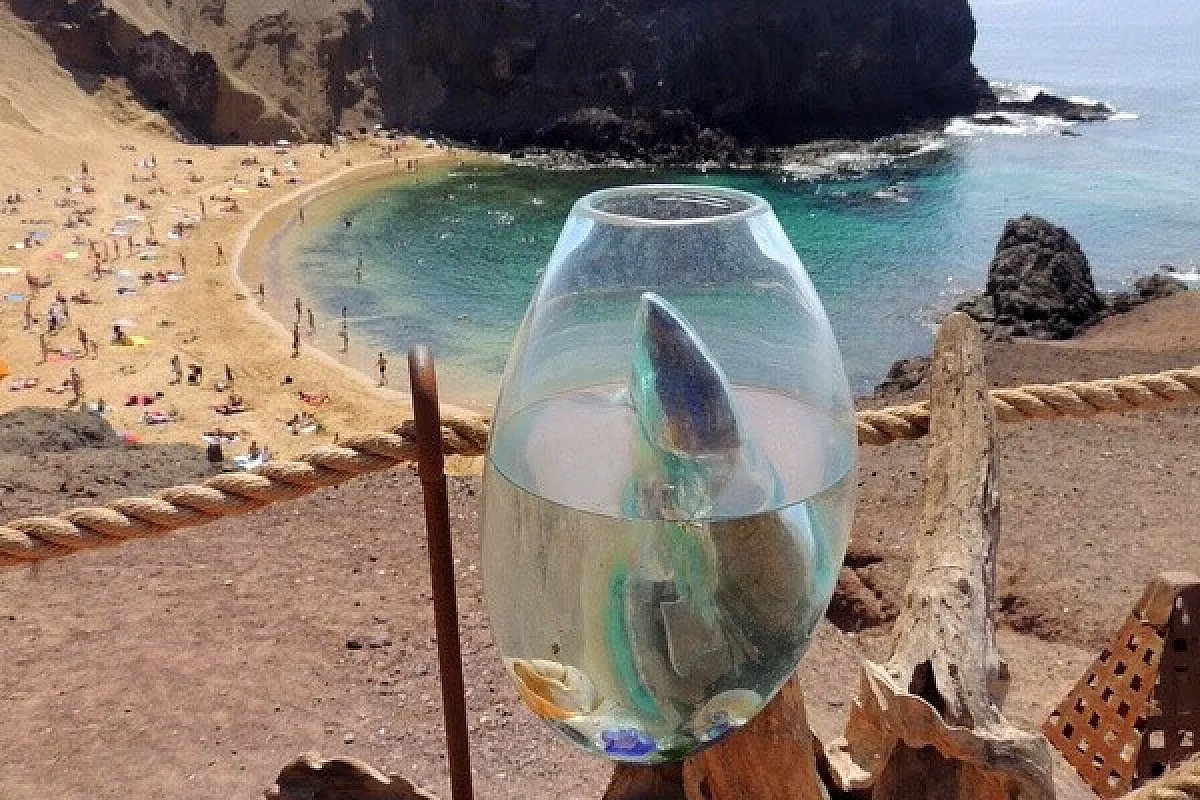 Lanzarote, l'isola del Cactus