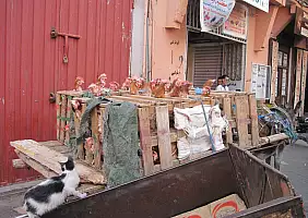 turistipercaso cultura-3h4nn