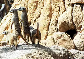 turistipercaso cultura-467cu
