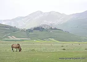 turistipercaso cultura-4hxpv
