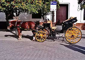turistipercaso cultura-55m5q
